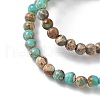 Dyed Natural Regalite/Imperial Jasper/Sea Sediment Jasper Beads Strands G-B124-C05-06-3