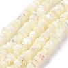 Natural Sea Shell Beads Strands SSHEL-S278-132-2