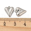 Non-Tarnish 304 Stainless Steel Charms STAS-L022-108P-07-3