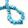 Dyed Synthetic Turquoise Stone Bead Strands G-R192-B24-2