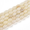 Natural White African Opal Beads Strands G-N346-02B-10-2