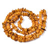 Natural Freshwater Shell Beads Strands SHEL-S278-071C-2