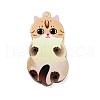 Acrylic Pendants OACR-B023-01B-06-1