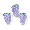 Handmade Lampwork Enamel Beads LAMP-U004-07G-1