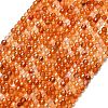Natural Carnelian Beads Strands G-A260-A20-01-2