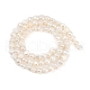 Natural Cultured Freshwater Pearl Beads Strands PEAR-P064-19D-05A-3