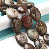 Natural Wealth Stone Beads Strands G-P528-D02-01-2