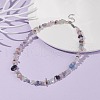 Natural Fluorite Chip Beaded Necklace NJEW-JN03824-02-2