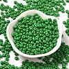 Baking Paint Glass Seed Beads X1-SEED-B001-02A-05-2