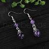 Natural Gemstone Dangle Earrings EJEW-JE01374-2