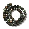 Natural Chrysoprase Beads Strands G-H298-A09-03-3