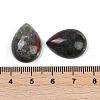 Natural Africa Bloodstone Cabochons G-H094-01A-17-3