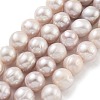 Natural Cultured Freshwater Pearl Beads Strands PEAR-C003-21E-2