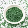 MIYUKI Delica Beads SEED-J020-DB0046-2
