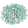 SUPERFINDINGS 2 Strands Natural Amazonite Beads Strands G-FH0001-60-1