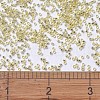 MIYUKI Delica Beads SEED-X0054-DB1212-3