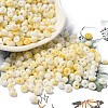 Baking Paint Glass Seed Beads X1-SEED-F006-01A-01-1