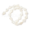 Natural Trochid Shell/Trochus Shell Beads Strands SSHEL-R145-05-5