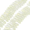 Electroplate Glass Beads Strands X-EGLA-C005-01A-FR02-1