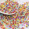 Baking Paint Glass Seed Beads SEED-S042-05B-50-1