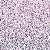 8/0 Glass Seed Beads SEED-A016-3mm-207-2