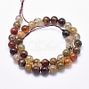 Natural Dragon Veins Agate Beads Strands G-K256-62-10mm-2