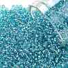 TOHO Round Seed Beads SEED-XTR11-0023-1