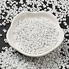 Glass Seed Beads SEED-K009-02A-10-2