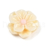 Opaque Resin Cabochons CRES-D283-01C-03-2