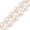 Shell Pearl Beads Strands BSHE-L035-A02-3