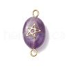 9Pcs 9 Styles Natural Rose Quartz & Green Aventurine & Amethyst Connector Charms PALLOY-JF02728-3