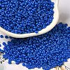 Baking Paint Glass Seed Beads SEED-P006-03A-25-1