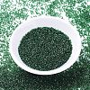 MIYUKI Delica Beads SEED-J020-DB1894-2