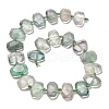 Natural Colorful Fluorite Beads Strands G-H078-B19-01-3