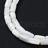 Natural Freshwater Shell Beads Strands BSHE-H109-16-4