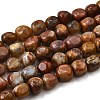 Natural Petrified Wood Beads Strands G-L621-C11-02-2
