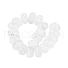 Handmade Lampwork Beads Strands LAMP-T021-15J-1