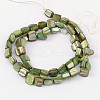 Erose Shell Beads Strands PBB068Y-2
