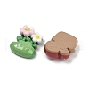 Opaque Resin Cabochons RESI-K043-21-2