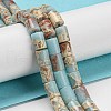 Synthetic Aqua Terra Jasper Beads Strands G-Q1008-A04-4