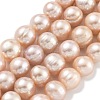 Natural Cultured Freshwater Pearl Beads Strands PEAR-C003-19E-2
