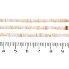 Natural Freshwater Shell Beads Strands SHEL-P017-01A-10-4