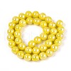 Electroplate Opaque Glass Beads Strands GLAA-T032-P10mm-AB16-2