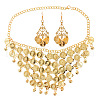 Coin Tassel Alloy Pendant Necklaces & Dangle Earrings Sets FS-WG02570-01-5