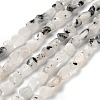 Natural Rainbow Moonstone Beads Strands G-P497-01E-56-2
