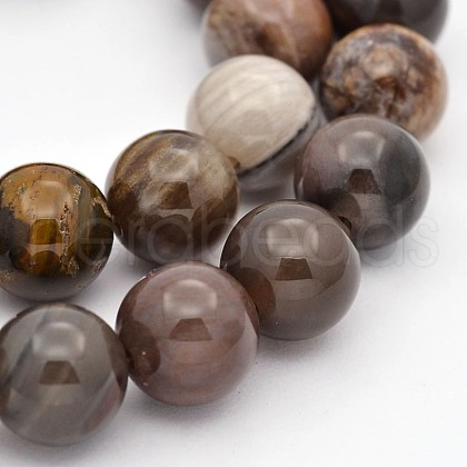 Natural Petrified Wood Round Beads Strands G-P101-01-10mm-1