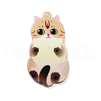 Acrylic Pendants OACR-B023-01B-06-1