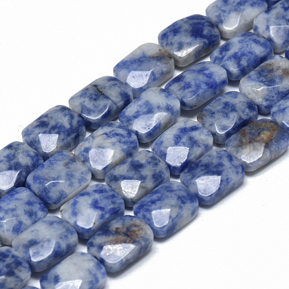 Natural Blue Spot Jasper Bead Strands G-T072-06-1