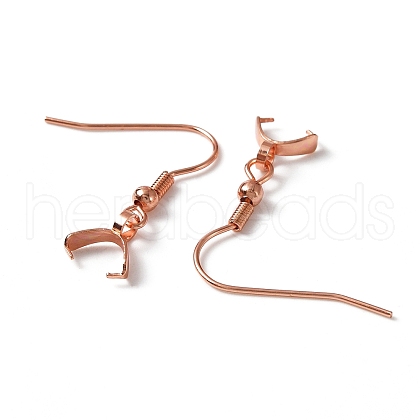 304 Stainless Steel Earring Hooks STAS-WH0035-14RG-1