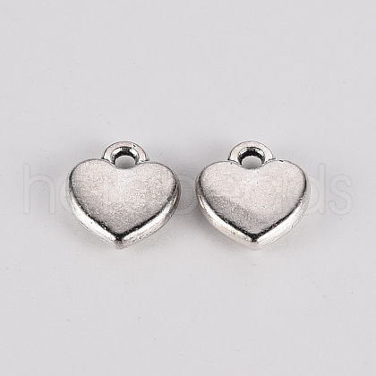 Tibetan Style Alloy Charms X-TIBE-N010-74AS-RS-1